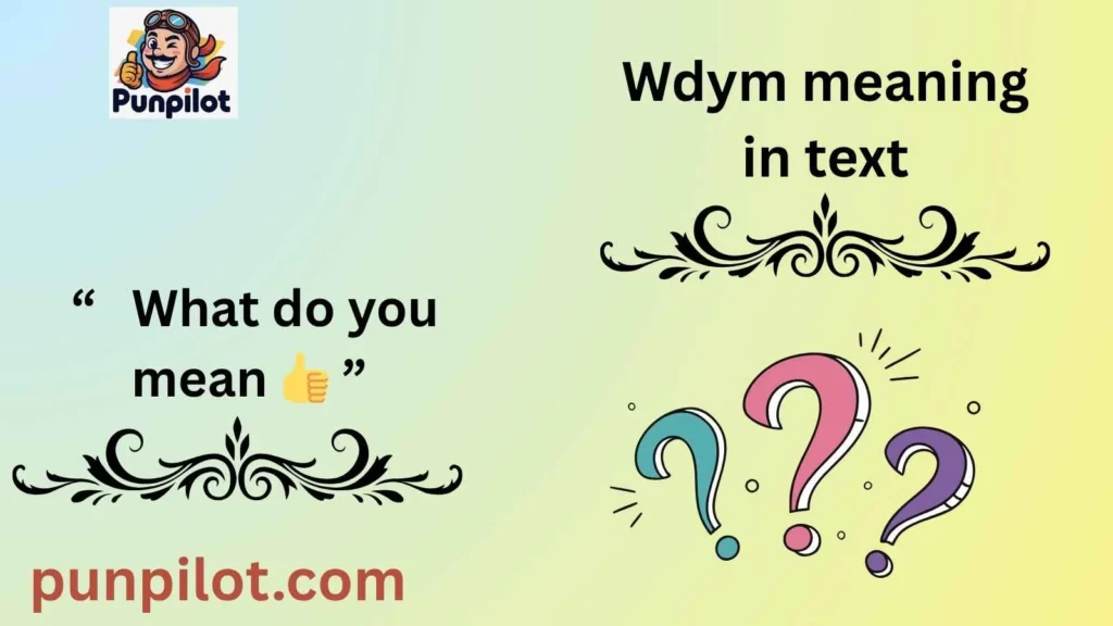 wdym meaning in text