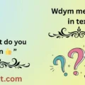 wdym meaning in text