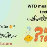 WTD meaning in text