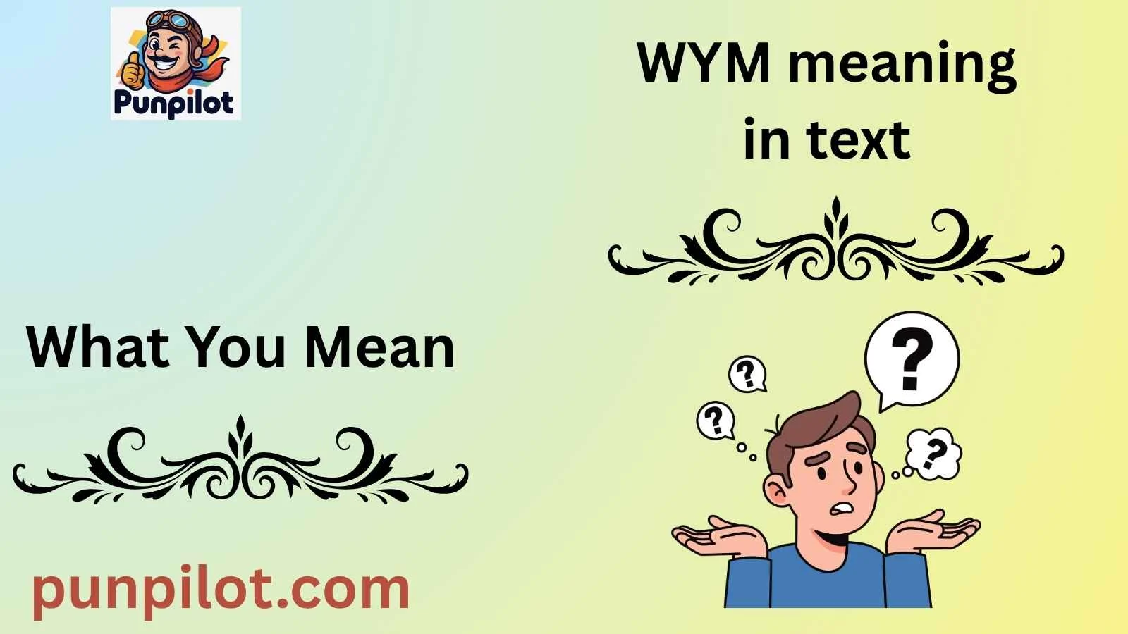 WYM meaning in text