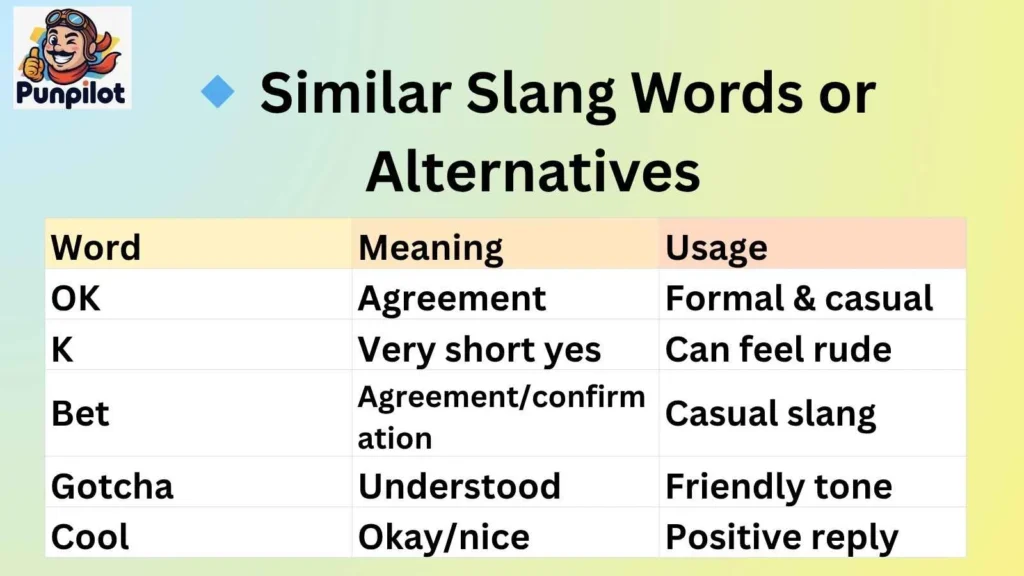 🔹 Similar Slang Words or Alternatives